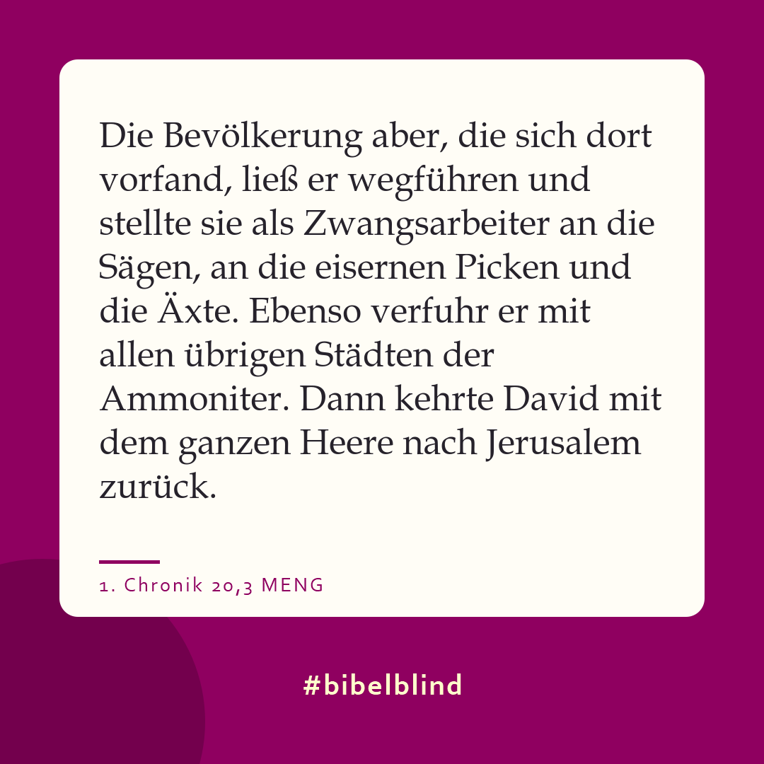 #bibelblind-Meme zu 1. Chronik 20,3: Die Bevölkerung aber, die sich dort vorfand, ließ er wegführen und stellte sie als Zwangsarbeiter an die Sägen, an die eisernen Picken und die Äxte. Ebenso verfuhr er mit allen übrigen Städten der Ammoniter. Dann kehrte David mit dem ganzen Heere nach Jerusalem zurück.