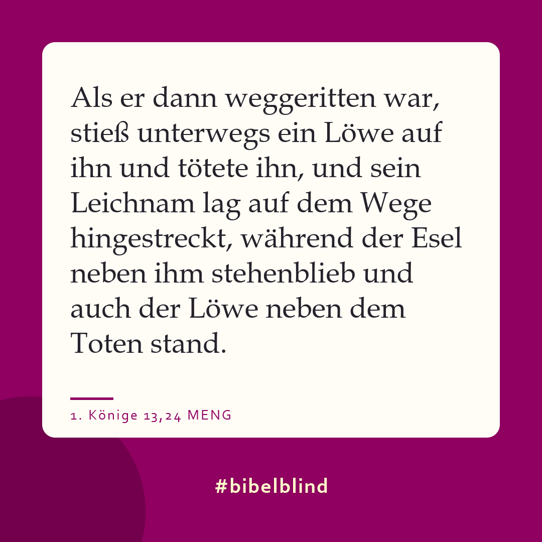 #bibelblind-Meme zu 1. Könige 13,24: Als er dann weggeritten war, stieß unterwegs ein Löwe auf ihn und tötete ihn, und sein Leichnam lag auf dem Wege hingestreckt, während der Esel neben ihm stehenblieb und auch der Löwe neben dem Toten stand.