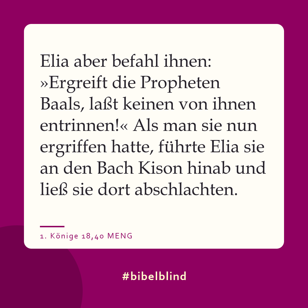 #bibelblind-Meme zu 1. Könige 18,40: Elia aber befahl ihnen: »Ergreift die Propheten Baals, laßt keinen von ihnen entrinnen!« Als man sie nun ergriffen hatte, führte Elia sie an den Bach Kison hinab und ließ sie dort abschlachten.