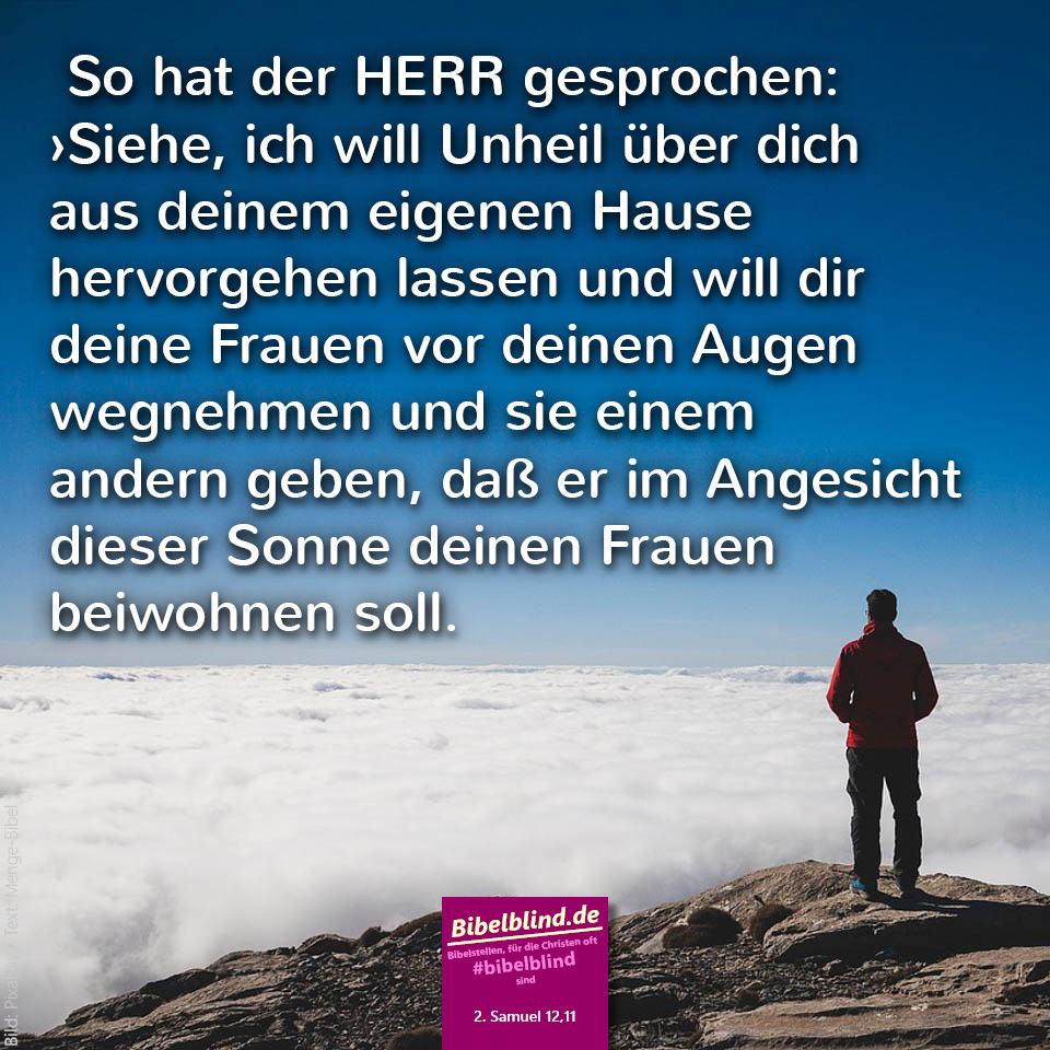 #bibelblind-Meme zu 2. Samuel 12,11: So hat der HERR gesprochen: ›Siehe, ich will Unheil über dich aus deinem eigenen Hause hervorgehen lassen und will dir deine Frauen vor deinen Augen wegnehmen und sie einem andern geben, daß er im Angesicht dieser Sonne deinen Frauen beiwohnen soll.