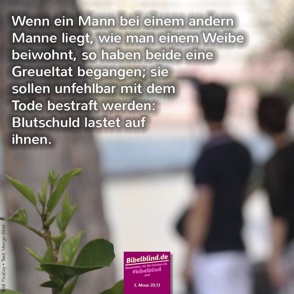 #bibelblind-Meme zu 3. Mose 20,13: Wenn ein Mann bei einem andern Manne liegt, wie man einem Weibe beiwohnt, so haben beide eine Greueltat begangen; sie sollen unfehlbar mit dem Tode bestraft werden: Blutschuld lastet auf ihnen.