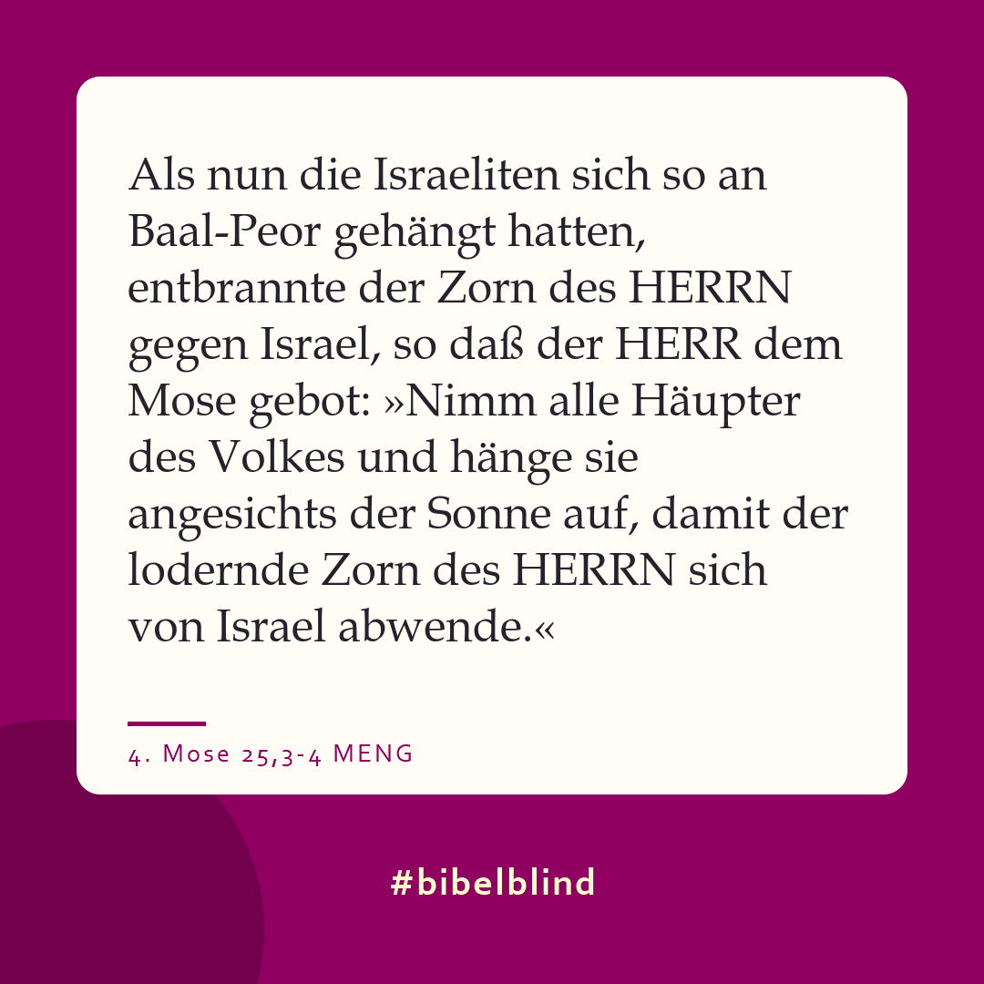 #bibelblind-Meme zu 4. Mose 25,3-4: Als nun die Israeliten sich so an Baal-Peor gehängt hatten, entbrannte der Zorn des HERRN gegen Israel, so daß der HERR dem Mose gebot: »Nimm alle Häupter des Volkes und hänge sie angesichts der Sonne auf, damit der lodernde Zorn des HERRN sich von Israel abwende.«