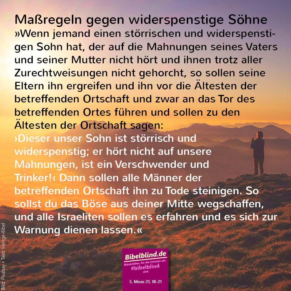 #bibelblind-Meme zu 5. Mose 21,18-21: Maßregeln gegen widerspenstige Söhne: »Wenn jemand einen störrischen und widerspenstigen Sohn hat, der auf die Mahnungen seines Vaters und seiner Mutter nicht hört und ihnen trotz aller Zurechtweisungen nicht gehorcht, so sollen seine Eltern ihn ergreifen und ihn vor die Ältesten der betreffenden Ortschaft und zwar an das Tor des betreffenden Ortes führen und sollen zu den Ältesten der Ortschaft sagen: ›Dieser unser Sohn ist störrisch und widerspenstig; er hört nicht auf unsere Mahnungen, ist ein Verschwender und Trinker!‹ Dann sollen alle Männer der betreffenden Ortschaft ihn zu Tode steinigen. So sollst du das Böse aus deiner Mitte wegschaffen, und alle Israeliten sollen es erfahren und es sich zur Warnung dienen lassen.«