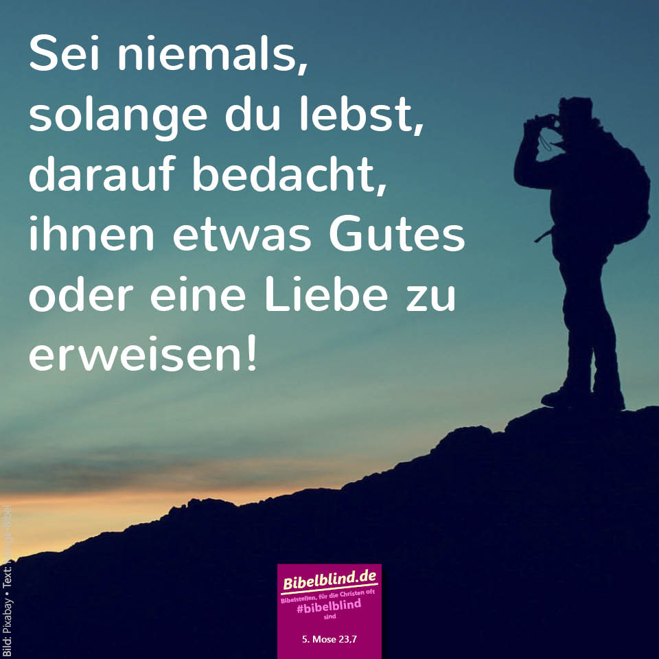 #bibelblind-Meme zu 5. Mose 23,7: Sei niemals, solange du lebst, darauf bedacht, ihnen etwas Gutes oder eine Liebe zu erweisen!