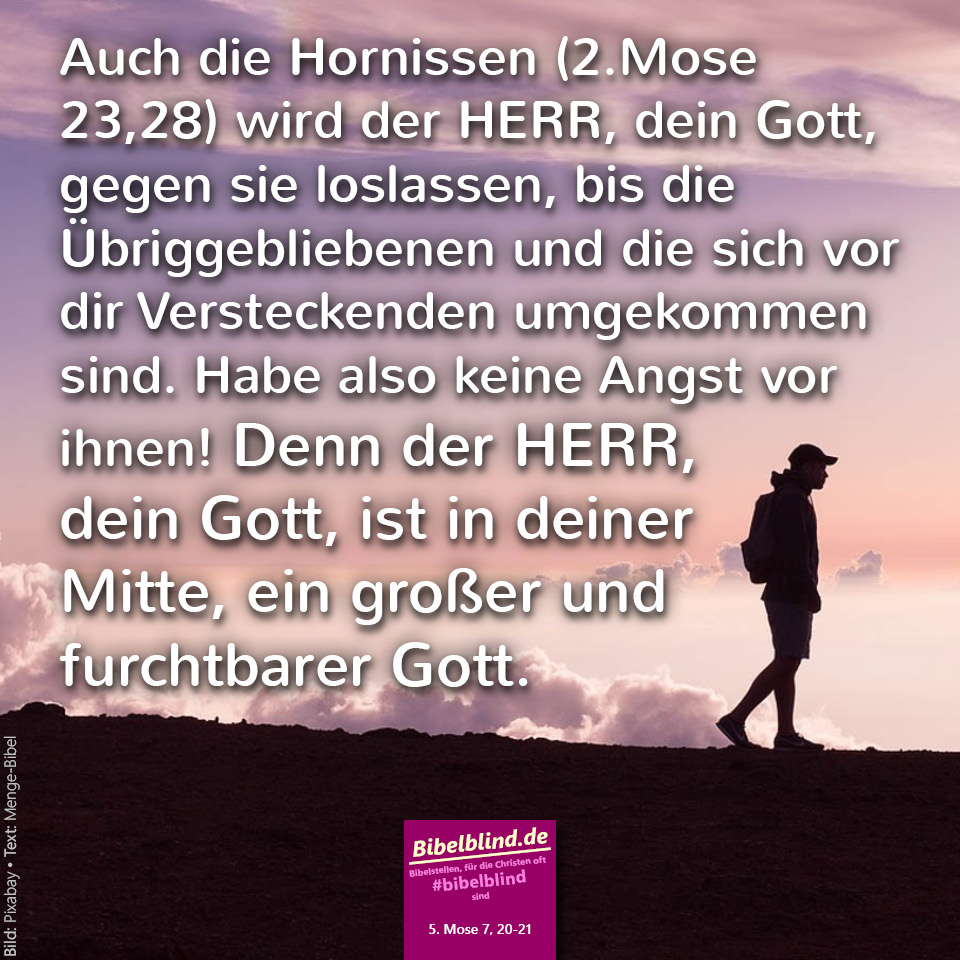 #bibelblind-Meme zu 5. Mose 7,20-21: Auch die Hornissen (2. Mose 23,28) wird der HERR, dein Gott, gegen sie loslassen, bis die Übriggebliebenen und die sich vor dir Versteckenden umgekommen sind. Habe also keine Angst vor ihnen! Denn der HERR, dein Gott, ist in deiner Mitte, ein großer und furchtbarer Gott.
