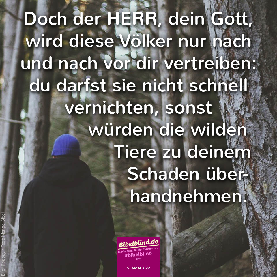 #bibelblind-Meme zu 5. Mose 7,22: Doch der HERR, dein Gott, wird diese Völker nur nach und nach vor dir vertreiben: du darfst sie nicht schnell vernichten, sonst würden die wilden Tiere zu deinem Schaden überhandnehmen.