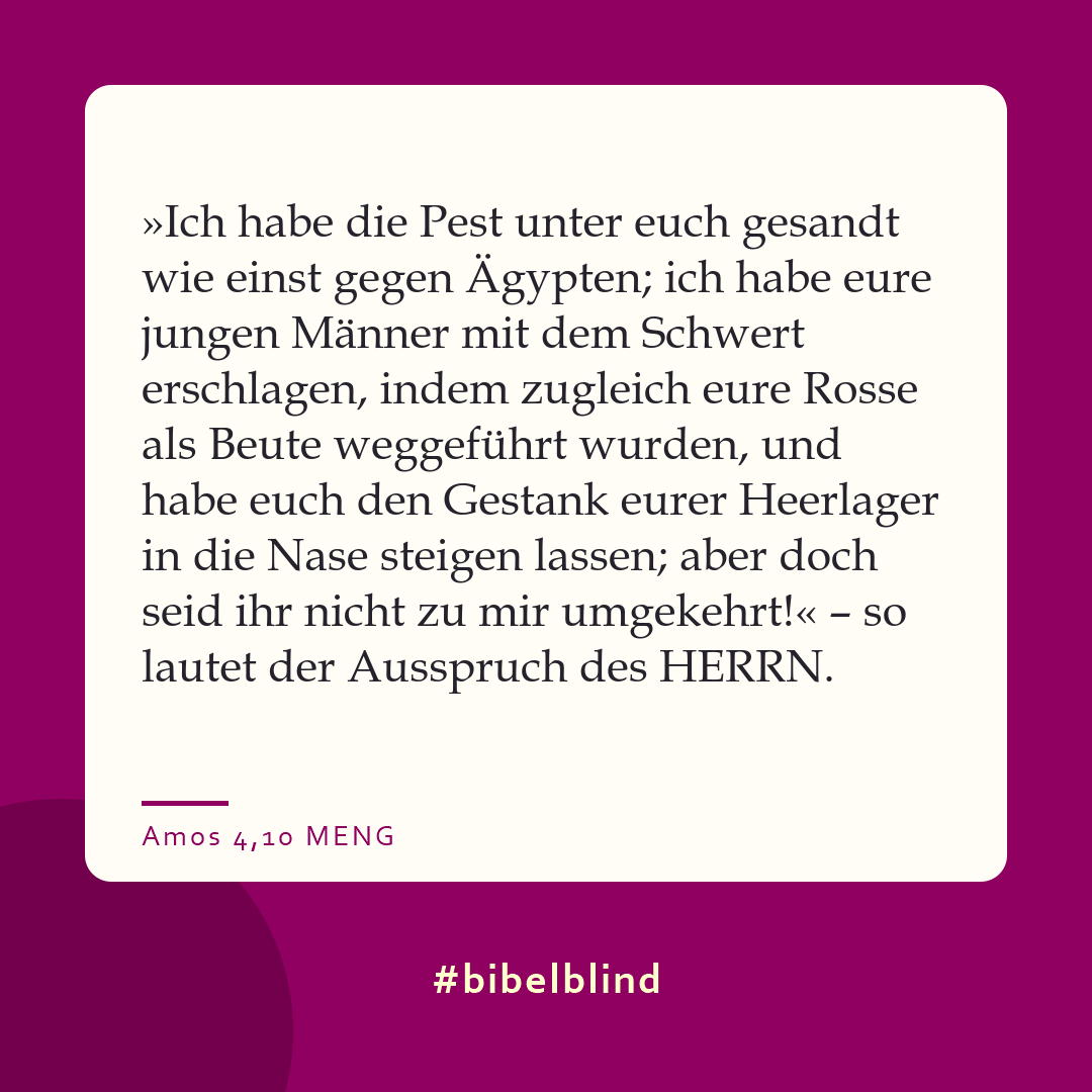 #bibelblind-Meme zu Amos 4,10: »Ich habe die Pest unter euch gesandt wie einst gegen Ägypten; ich habe eure jungen Männer mit dem Schwert erschlagen, indem zugleich eure Rosse als Beute weggeführt wurden, und habe euch den Gestank eurer Heerlager in die Nase steigen lassen; aber doch seid ihr nicht zu mir umgekehrt!« – so lautet der Ausspruch des HERRN.