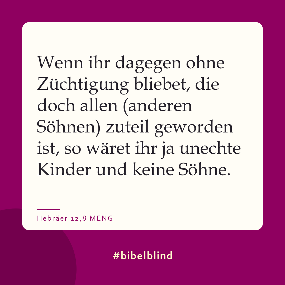#bibelblind-Meme zu Hebräer 12,8: Wenn ihr dagegen ohne Züchtigung bliebet, die doch allen (anderen Söhnen) zuteil geworden ist, so wäret ihr ja unechte Kinder und keine Söhne.