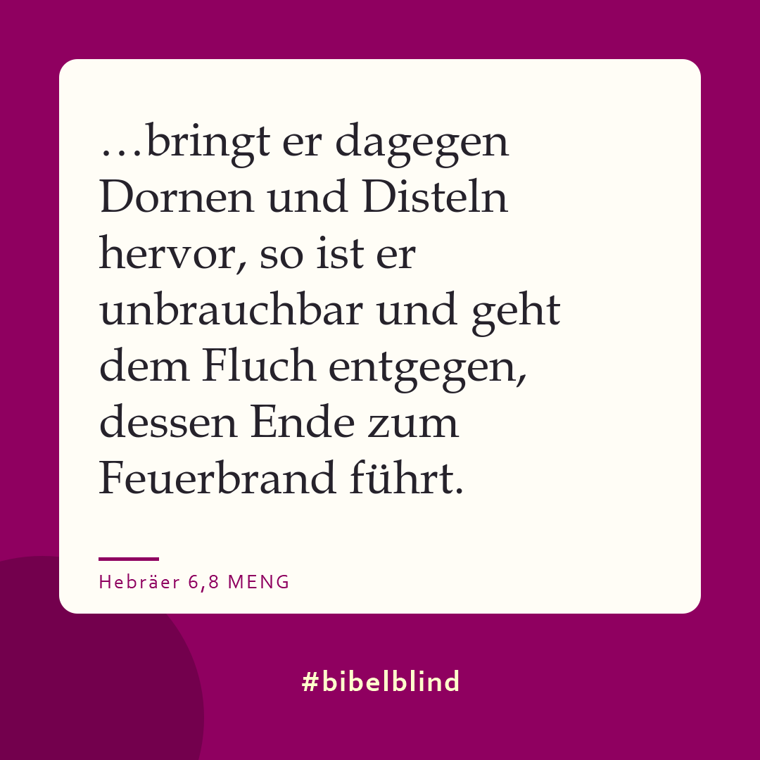 #bibelblind-Meme zu Hebräer 6,8: …bringt er dagegen Dornen und Disteln hervor, so ist er unbrauchbar und geht dem Fluch entgegen, dessen Ende zum Feuerbrand führt.
