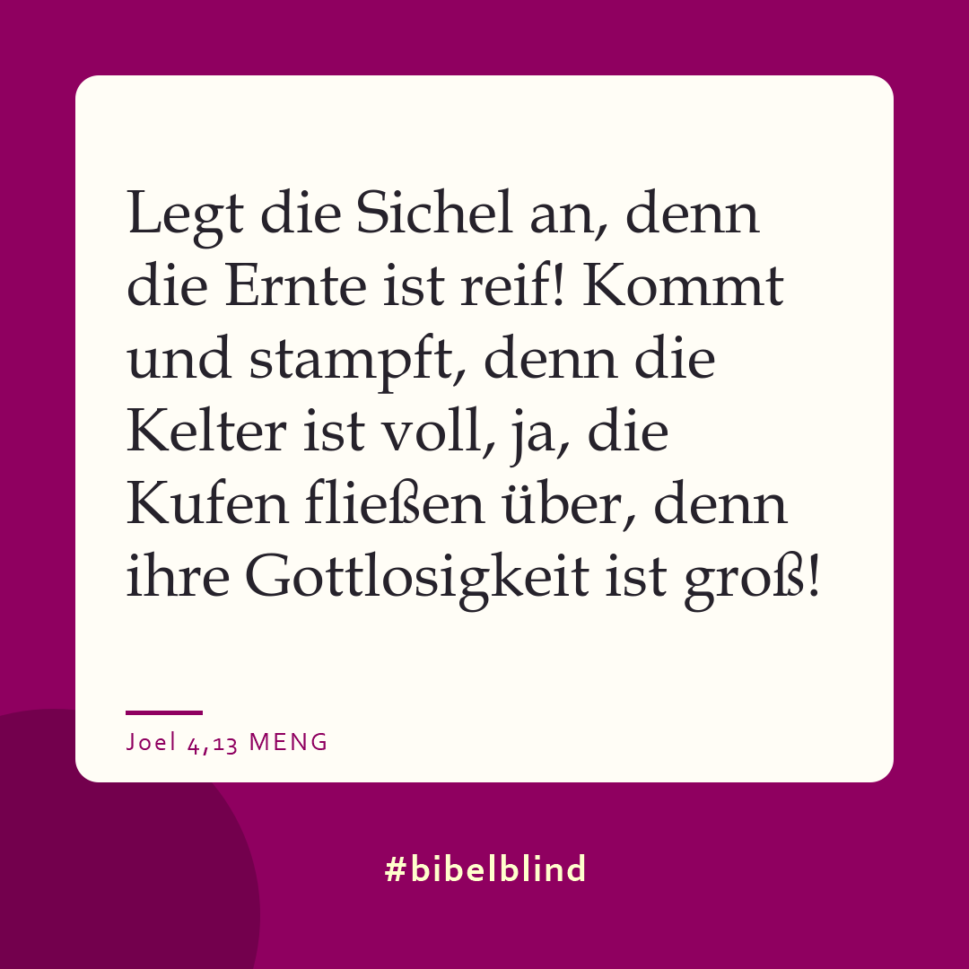 #bibelblind-Meme zu Joel 4,13: Legt die Sichel an, denn die Ernte ist reif! Kommt und stampft, denn die Kelter ist voll, ja, die Kufen fließen über, denn ihre Gottlosigkeit ist groß!«