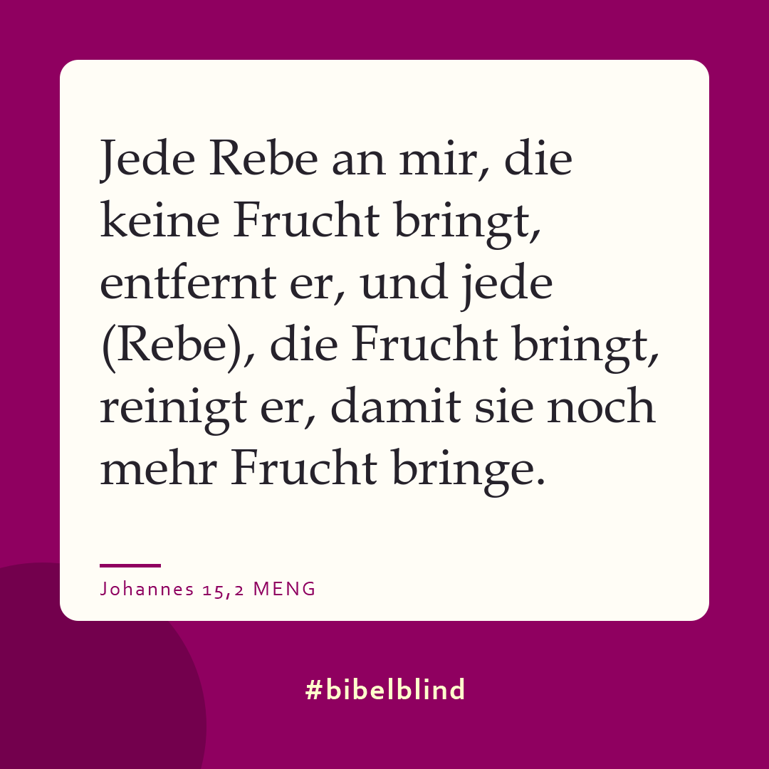 #bibelblind-Meme zu Johannes 15,2: Jede Rebe an mir, die keine Frucht bringt, entfernt er, und jede (Rebe), die Frucht bringt, reinigt er, damit sie noch mehr Frucht bringe.