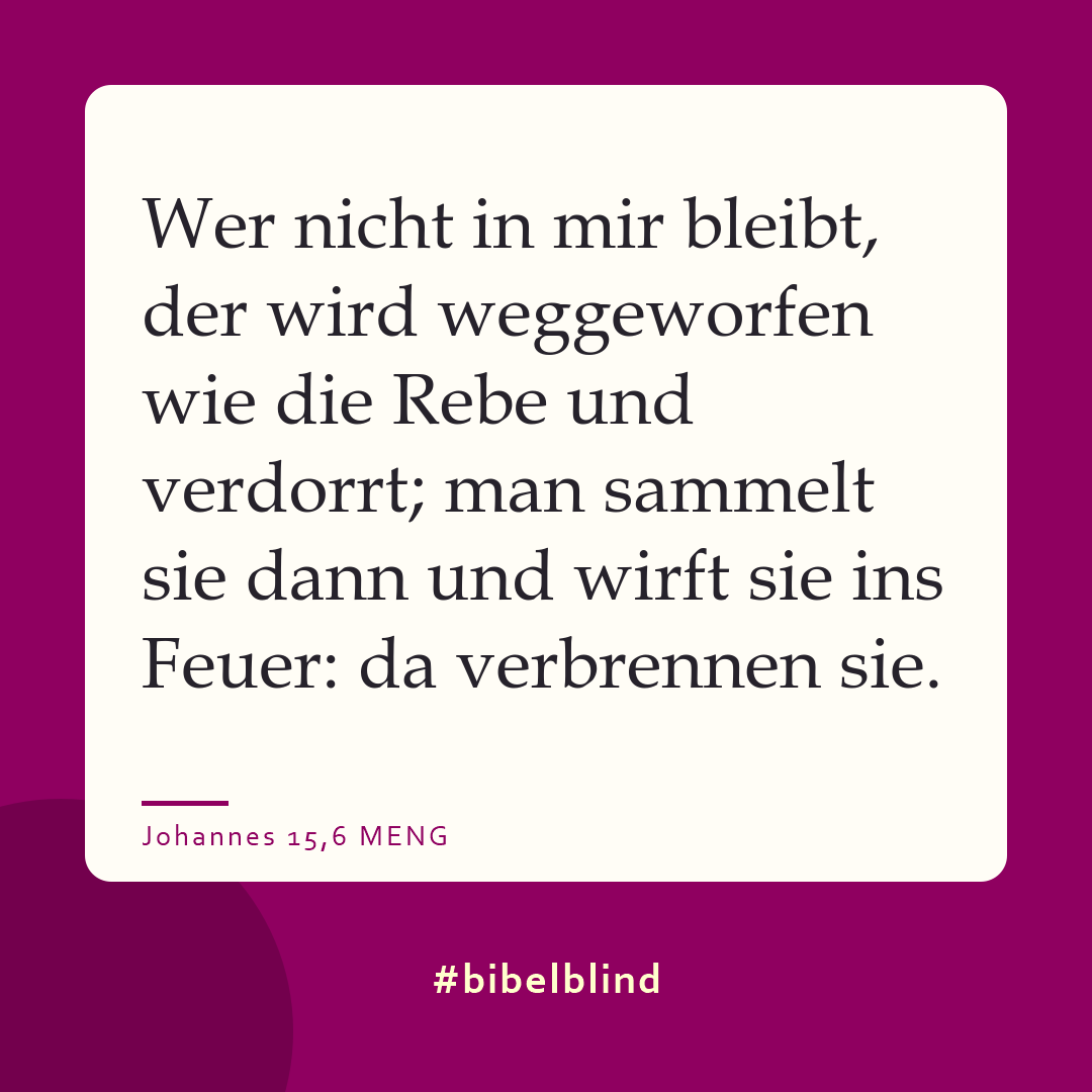 #bibelblind-Meme zu Johannes 15,6: Wer nicht in mir bleibt, der wird weggeworfen wie die Rebe und verdorrt; man sammelt sie dann und wirft sie ins Feuer: da verbrennen sie.