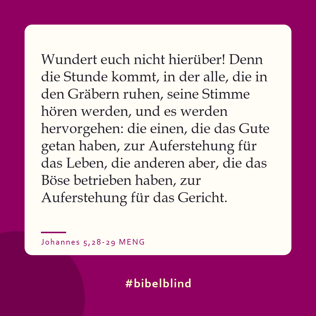 #bibelblind-Meme zu Johannes 5,28-29: Wundert euch nicht hierüber! Denn die Stunde kommt, in der alle, die in den Gräbern ruhen, seine Stimme hören werden, und es werden hervorgehen: die einen, die das Gute getan haben, zur Auferstehung für das Leben, die anderen aber, die das Böse betrieben haben, zur Auferstehung für das Gericht.