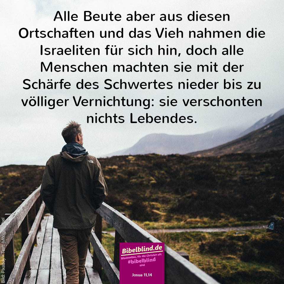 #bibelblind-Meme zu Josua 11,14: Alle Beute aber aus diesen Ortschaften und das Vieh nahmen die Israeliten für sich hin, doch alle Menschen machten sie mit der Schärfe des Schwertes nieder bis zu völliger Vernichtung: sie verschonten nichts Lebendes.