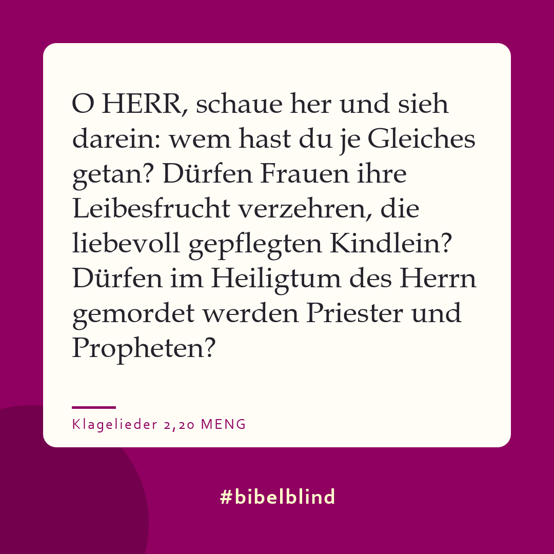 #bibelblind-Meme zu Klagelieder 2,20: O HERR, schaue her und sieh darein: wem hast du je Gleiches getan? Dürfen Frauen ihre Leibesfrucht verzehren, die liebevoll gepflegten Kindlein? Dürfen im Heiligtum des Herrn gemordet werden Priester und Propheten?