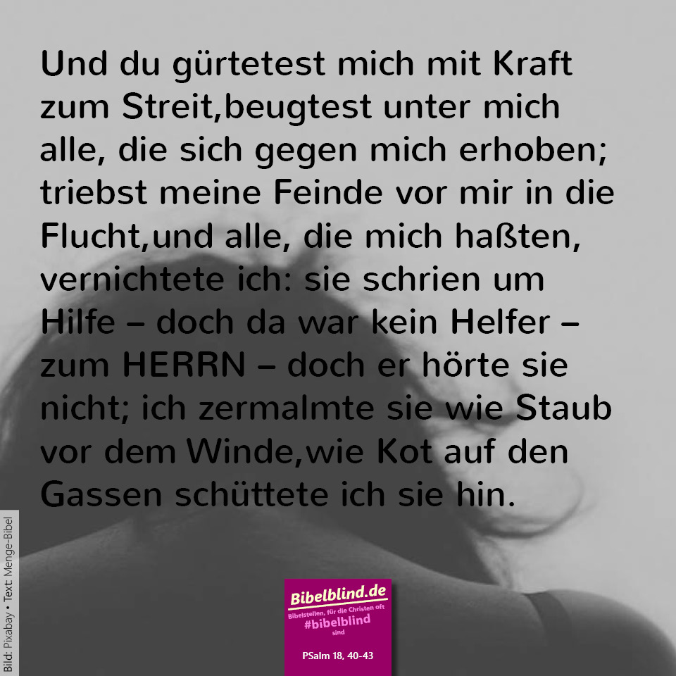 #bibelblind-Meme zu Psalm 18,40-43: Und du gürtetest mich mit Kraft zum Streit, beugtest unter mich alle, die sich gegen mich erhoben; du triebst meine Feinde vor mir in die Flucht, und alle, die mich haßten, vernichtete ich: sie schrien um Hilfe – doch da war kein Helfer – zum HERRN – doch er hörte sie nicht; ich zermalmte sie wie Staub vor dem Winde, wie Kot auf den Gassen schüttete ich sie hin.